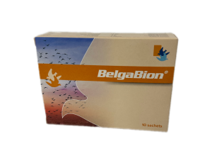 BelgaBion