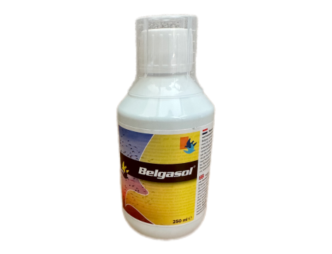 Belgasol Elektrolit 250 ml