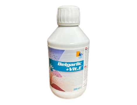 Belgarlic + Vit.E 250ml